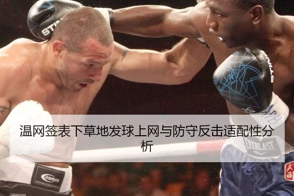 温网签表下草地发球上网与防守反击适配性分析